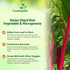 2000 Outsidepride Red Swiss Chard Seeds for Planting Vegetables & Microgreens - Pcs Vibrant, Tasty & Highly Nutritious