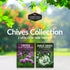 Common 2 Packets Chive Seed Collection - & Garlic Chives of Non-GMO Heirloom Open-Pollinated Herb Seed Varieties