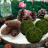 BYHER Handmade Natural Green Moss Decorative Ball, Set of 6 (3.5")