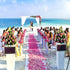 HongyiTime 1200 PCS Artificial Silk Rose Petals for Wedding, Party, Event Decoration (Ivory)