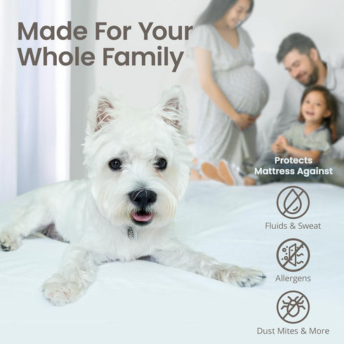 SafeRest 100% Waterproof King Size Mattress Protector, Fitted with Stretchable Pockets, Machine Washable Cotton