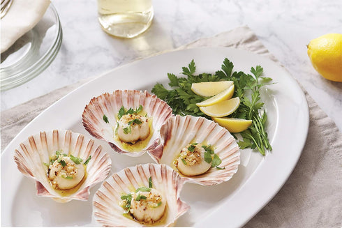 Natural Baking Sea Shells, 5-Inch, Set of 4