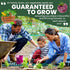 125 2026 600 Cherokee Purple Tomato Premium Seeds for Planting Rich, Juicy, Historic Heirloom for the Season Milligram