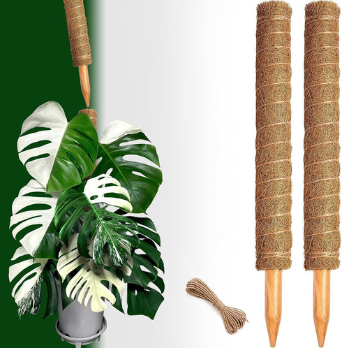 CHIAFFI 2 Pack 21 Inch 37 Inch Moss Poles, Stackable Moss Pole for Plants Monstera, Tall Moss Poles for Climbing Plants