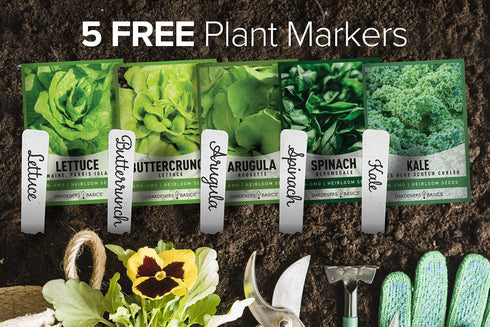Pack 5 Gardeners Basics Lettuce and Greens Heirloom Vegetable Seed Non-GMO Seeds for Planting Indoors and Outdoor