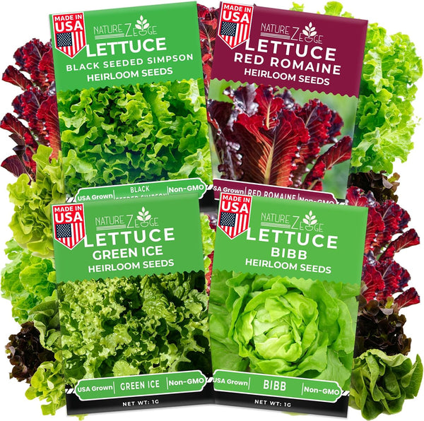 NatureZ Edge Lettuce Seeds for Planting, 4 Popular Varieties Non-GMO Heirloom Seeds,