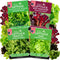 NatureZ Edge Lettuce Seeds for Planting, 4 Popular Varieties Non-GMO Heirloom Seeds,