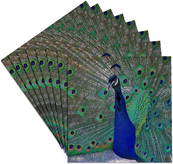 3dRose CST_154797_4 Bright Blue Peacock Ceramic Tile Coasters - Set of 8 with Colorful Plummage
