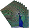 3dRose CST_154797_4 Bright Blue Peacock Ceramic Tile Coasters - Set of 8 with Colorful Plummage