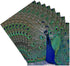 3dRose CST_154797_4 Bright Blue Peacock Ceramic Tile Coasters - Set of 8 with Colorful Plummage