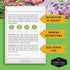 20 Hydroponic & Indoor Garden Seed Kit Compact Heirloom Vegetable & Herb Varieties | Apartment, Small-Space, Patio