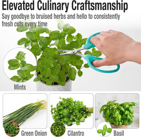 Beaditive Culinary Herb Scissors - Compact 6.5-Inch Stainless Steel Kitchen Scissors - Dishwasher Safe - Sharp Tip for Snipping Fresh Herbs by Beaditive