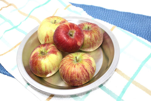 Aluminum Metal Pie Plate, 8 Inch Pan - Set of 10