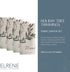 Elrene Home Fashions Set of 4 Holiday Tree Trimmings Fabric Napkins, 17" x 17"