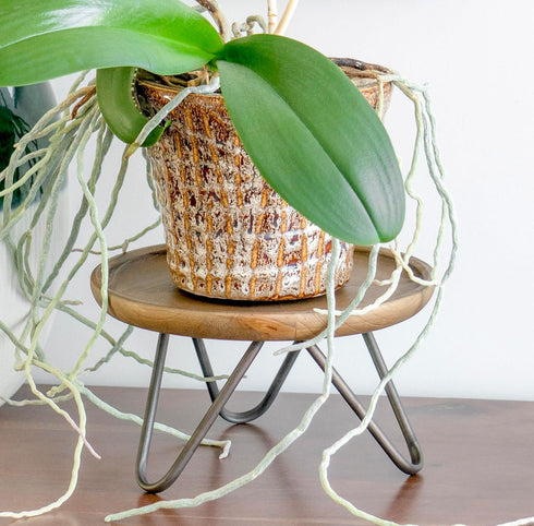 8.75 Red Co. Dia Round Decorative Wooden Pedestal Plant Stand with Metal Pin Legs, Natural Brown