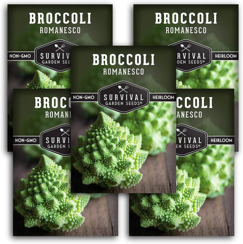 Romanesco Broccoli Seeds for Planting - Exotic Italian Heirloom Vegetable with Unique