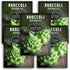 Romanesco Broccoli Seeds for Planting - Exotic Italian Heirloom Vegetable with Unique