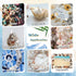 WFPLUS 200+pcs Mixed Sea Shells, Natural Seashells and Starfish for Fish Tank, Home Decorations, DIY Crafts
