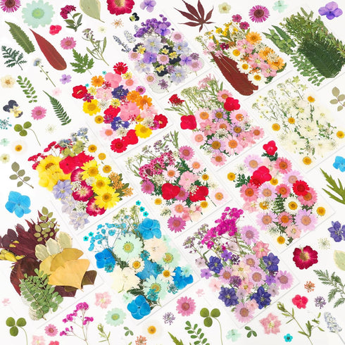 NESCCI 420 Pcs Dried Pressed Flowers for Resin,Real Nature Dried Flowers for