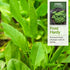 (5 Packs) Sorrel Seeds for Planting - Large Leaf Garden Sorrel - Cool Weather Perennial Vegetable for Edible Leafy