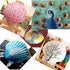 16PCS White Scallop Shells, 2.7"~3.5" for Crafts, Baking Shells, DIY Painting, Wedding Decoration