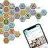 MORCART 30PCS Hexagon Fridge Magnets, Cute Locker Magnets, Decorative Magnets for Refrigerator Whiteboard Cabinet Office Kitchen Blackboard Gift for Adult (Morocco 3050)
