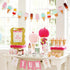 Chloe Elizabeth 10 (1-Pack) Ice Cream & Popsicle Paper Party Garland, Streamer Decor for All Events - Feet Long Per