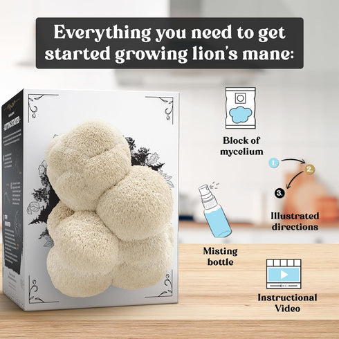 3.5 lb Organic Lion's Mane Mushroom Growing Kit - Indoor Gardening Kit for Fresh Gourmet Mushrooms - Easy to Grow at
