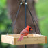 Wild Wings WWCF23 Cedar Tray Bird Feeder by Wild Wings