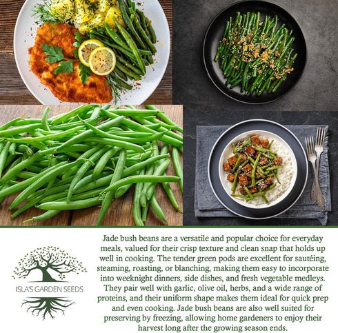 50+ Jade Bush Bean Seeds (Phaseolus vulgaris) Heirloom Non-GMO Seeds by Islas Garden Seeds, Slender Green Pods, Tender