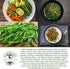 50+ Jade Bush Bean Seeds (Phaseolus vulgaris) Heirloom Non-GMO Seeds by Islas Garden Seeds, Slender Green Pods, Tender
