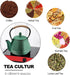 Cast Iron Tea Pot - Honeycomb Pattern Tea Kettle with Tea Leaf Infuser,Stovetop Tea Kettle Coated with Enameled