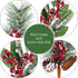 12 14 Inch Tatuo Pieces Christmas Pine Picks and Sprays Artificial Assorted Berry Stem Large Faux Pine Cone Branches