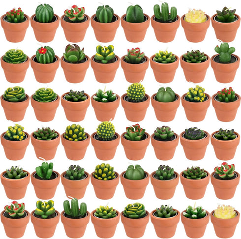 Shihanee 48 Pcs Bulk Succulent Candles Decorative Cactus Tealight Candles Handmade Mini