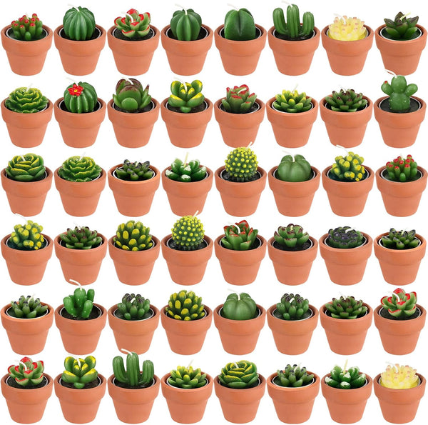 Shihanee 48 Pcs Bulk Succulent Candles Decorative Cactus Tealight Candles Handmade Mini