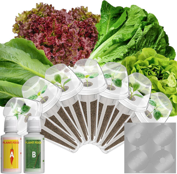 LYKOCLEAN Red Romaine Lettuce Seed Pods for AeroGarden, Ahopegarden, iDOO Hydroponics Growing
