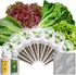LYKOCLEAN Red Romaine Lettuce Seed Pods for AeroGarden, Ahopegarden, iDOO Hydroponics Growing
