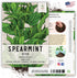 (1 Pack) Seed Needs Mint Seeds for Planting Spearmint Herbs - Non-GMO Heirloom & Untreated Perennial Herb Seed to Plant