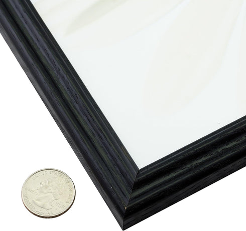 Craig Frames 200ASHBK Picture/Poster Frame, 0.75-Inch Wide, Black, 18 by 24-Inch, Wood Grain Finish