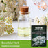 White Yarrow Seeds for Planting - 1 Packet with Instructions to Grow Beneficial Flowering Herbs - Non-GMO Heirloom