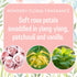 6 Closets, 6 Pack Fresh Scents Scented Sachets | Baby Powder | Home Fragrance | Long Lasting (Up to Months) | Air