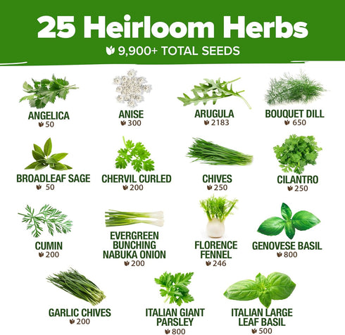 25 8,700+ Pack Set HOME GROWN Herb Seeds for Planting Non-GMO Heirloom Seeds | Extra Large Variety Herb Kit Indoor