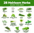 25 8,700+ Pack Set HOME GROWN Herb Seeds for Planting Non-GMO Heirloom Seeds | Extra Large Variety Herb Kit Indoor