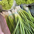 Purely Organic Products LLC 200 Organic Onion Seeds (Bunching Evergreen) - Approx Seeds - USDA Organic, Non-GMO, Open