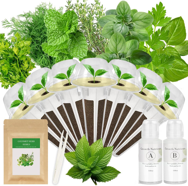 TitaniX Gourmet Herb Seed Pod Kit for AeroGarden, idoo, Ahopegarden, MUFGA with Basil,