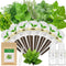 TitaniX Gourmet Herb Seed Pod Kit for AeroGarden, idoo, Ahopegarden, MUFGA with Basil,