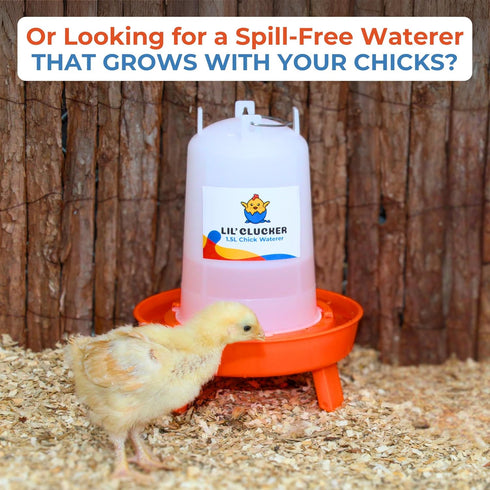 1L 1.5L Set, Lil'Clucker Chick Feeder, Chicken Waterer - No Leakage Chick Feeder and Waterer Kit, Hanging Baby Chick