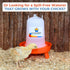 1L 1.5L Set, Lil'Clucker Chick Feeder, Chicken Waterer - No Leakage Chick Feeder and Waterer Kit, Hanging Baby Chick