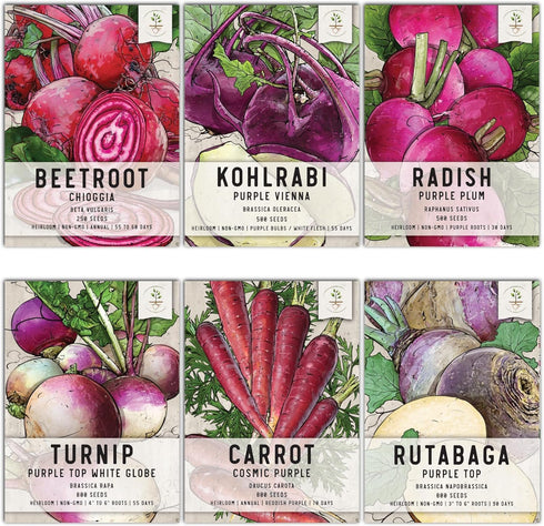 Seed Needs Edible Roots & Bulbs Variety Pack/Seed Collection Contains Rutabaga, Turnips,