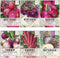 Seed Needs Edible Roots & Bulbs Variety Pack/Seed Collection Contains Rutabaga, Turnips,